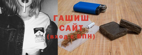 индика Бородино